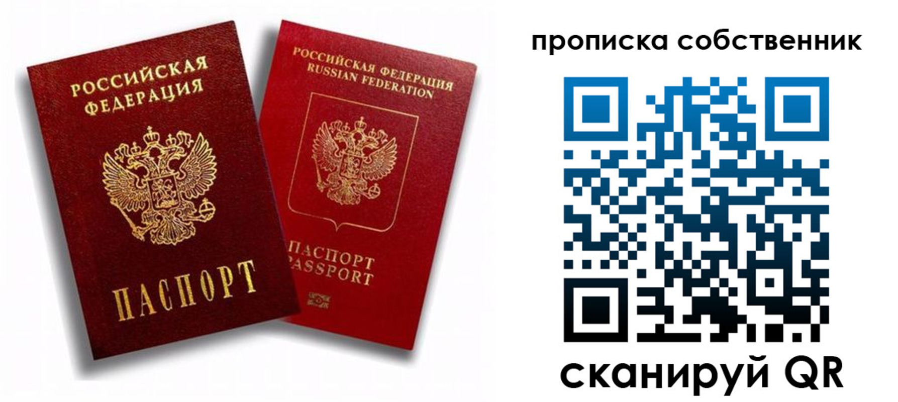 прописка 2025 в Курске